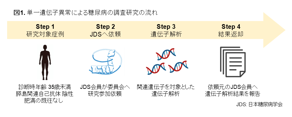 図1. 単一遺伝子異常による糖尿病の調査研究の流れ