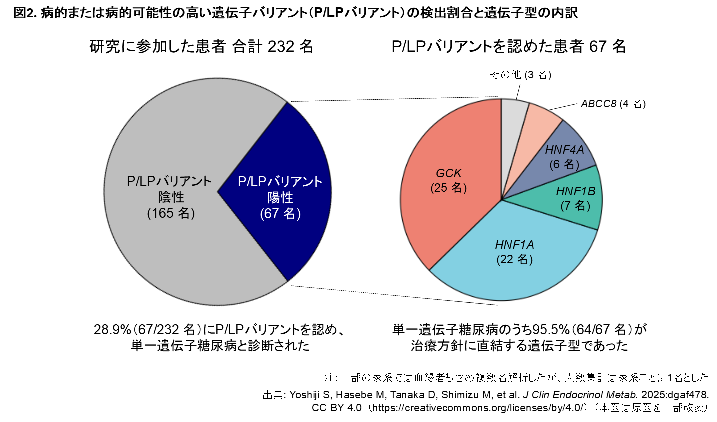 図2. 病的または病的可能性の高い遺伝子バリアント(P/LPバリアント)の検出割合と遺伝子型の内訳