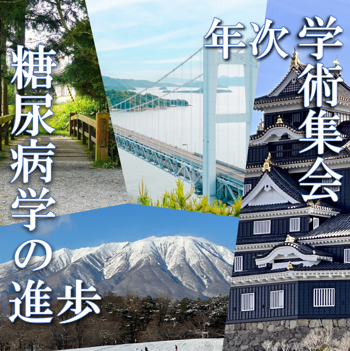 糖尿病学の進歩 学術集会年次