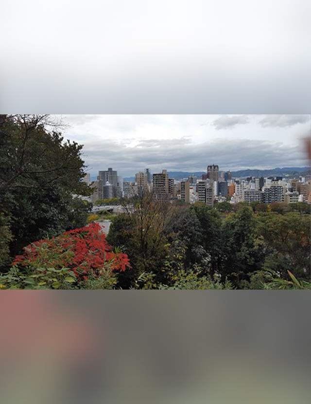 立川 佳美
