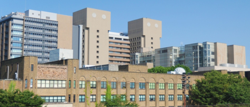 Department of Diabetes and Metabolic Diseases, The University of Tokyo Hospital 1