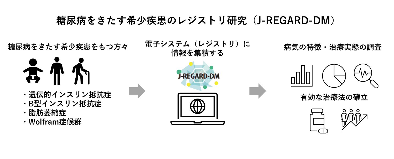 レジストリ作成を通じた糖尿病をきたす希少疾患の治療標準化