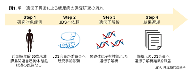 単一遺伝子異常による糖尿病の成因、診断、治療に関する調査研究(第2次委員会)