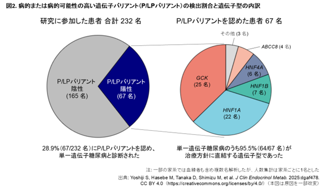 単一遺伝子異常による糖尿病の成因、診断、治療に関する調査研究(第2次委員会)