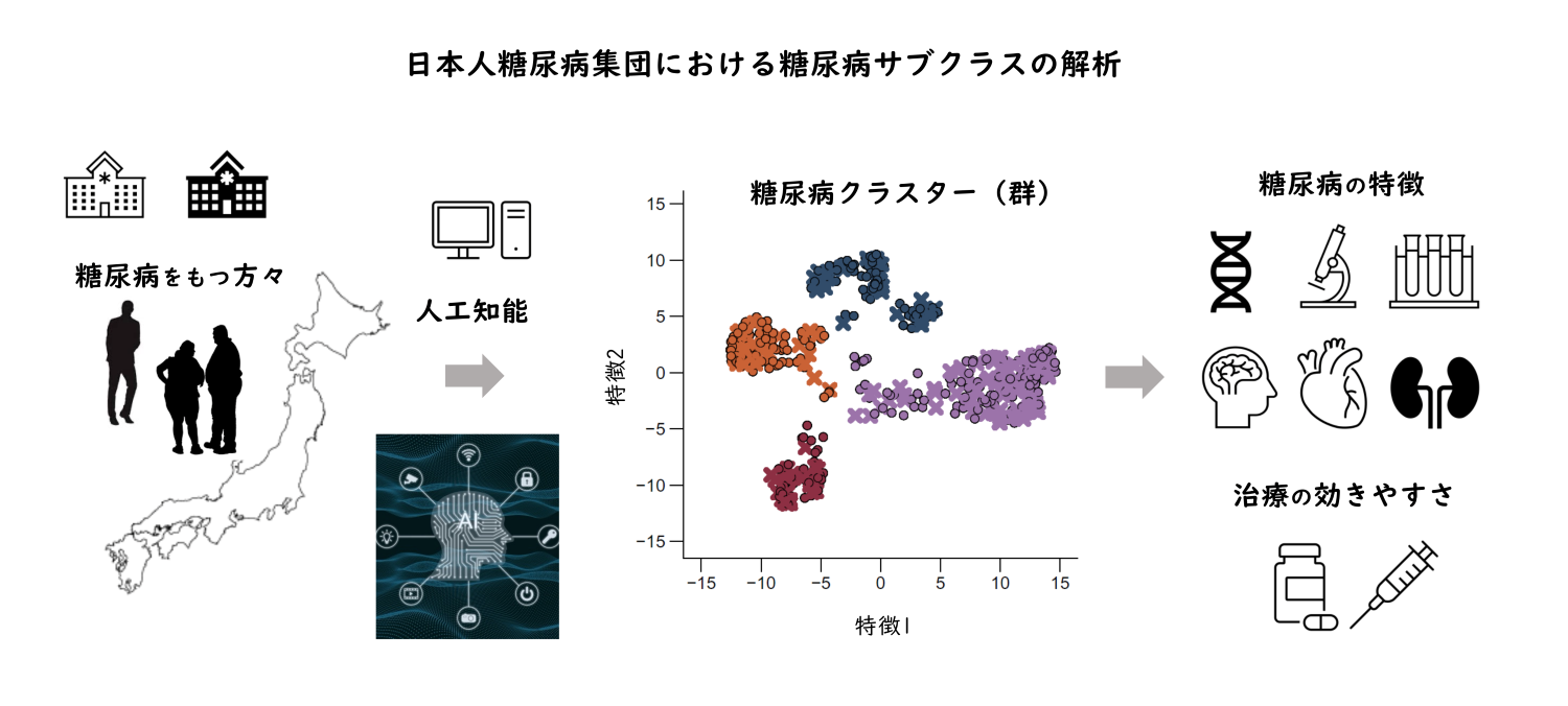 日本人糖尿病集団における糖尿病サブクラスの解析