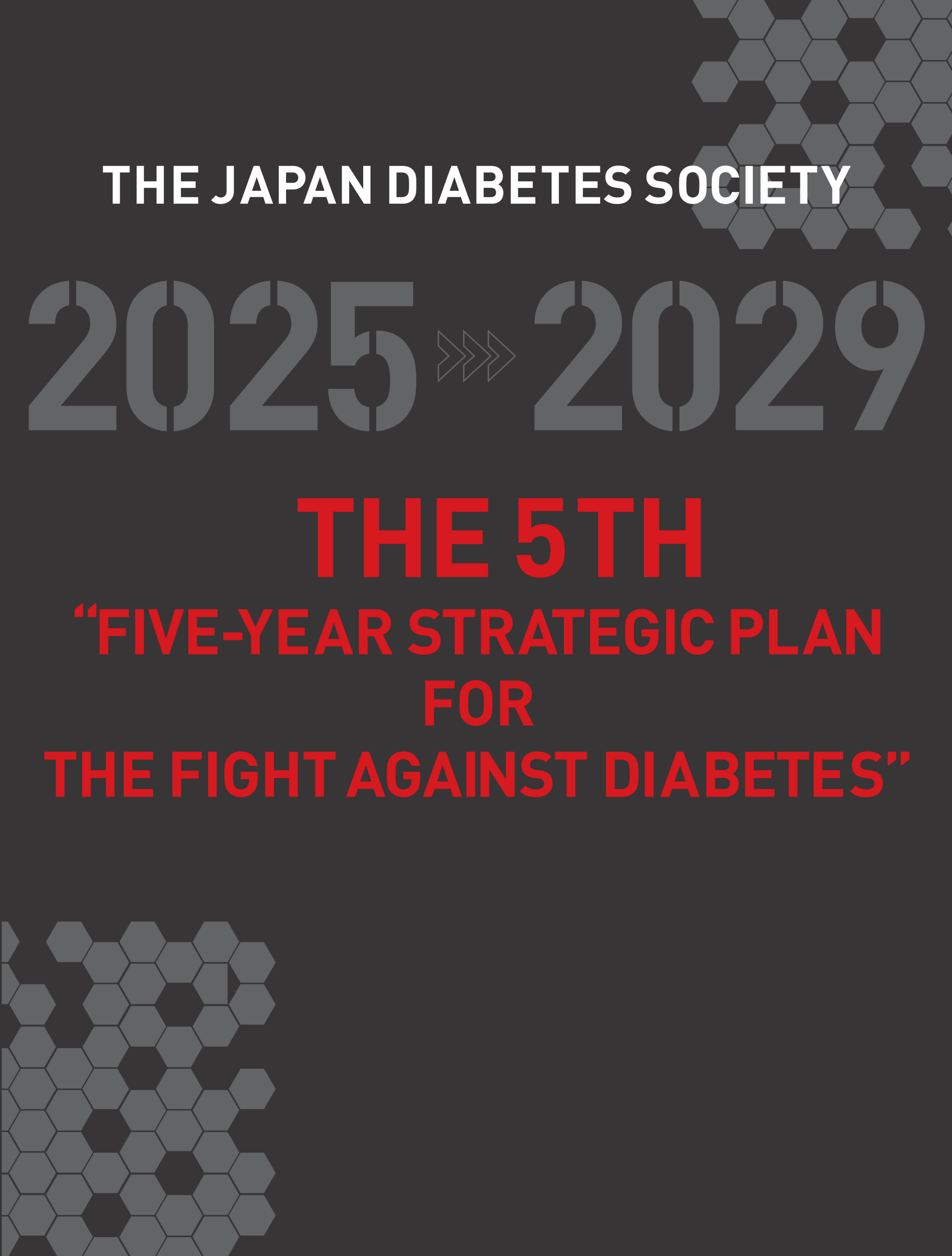 The Five-Year Strategic Plan for the Fight Against Diabetes(Portable Version)